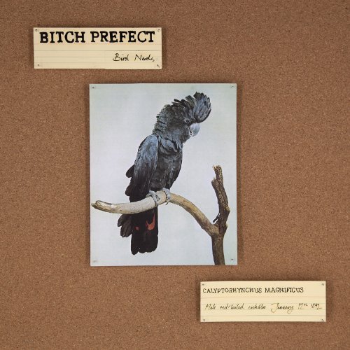Bitch Prefect/Bird Nerds@Incl. Download